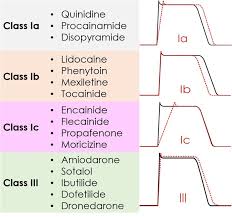 Image result for Antiarrhythmic