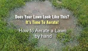 If slicing up that turf you've worked so hard on makes you more than a little nervous, it's best to leave it in the hands of a professional lawn care service. How To Aerate A Lawn By Hand How Does Your Garden Mow