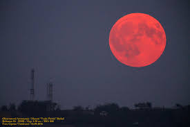 Aici găsești cele mai importante și populare ştiri despre politică, economie, tehnologie, știință, sănătate, sport și divertisment din românia și din lume. Eclipsa De Luna Prin Penumbra Imagine Cu Spectaculosul Fenomen Surprins Aseara In Romania Stirileprotv Ro