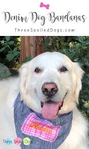 Due to the personalized nature of our product we do not accept returns. Personalized Denim Dog Bandanas Denim Dog Dog Clothes Diy Dogs