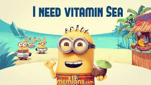Vitamin Sea Minions Minion Movie Minions Love