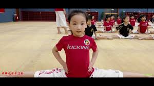 Lin Quinan Youtube