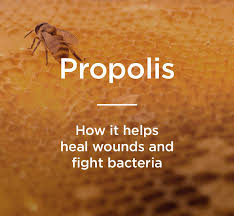 Propolis is a compound produced by bees thought to fight infections, heal wounds, and more. Propolis Benefits Uses And More