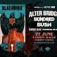 Blackbird Festival - Official Ticket and Hotel Bundls event image
