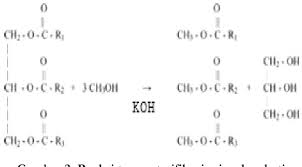 It is produced from vegetable oils or fats either by chemical transesterification or by the handicap of increase in process cost because of the cost of the enzyme can be overcome by using efficient production process for enzyme and. Pdf Pembuatan Biodiesel Biji Kepuh Dengan Proses Transesterifikasi Transesterification Process For Manufacturing Kepuh Seed Biodiesel Semantic Scholar
