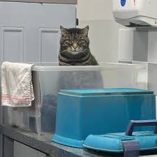 Becky Vale (@Beckyvale_)