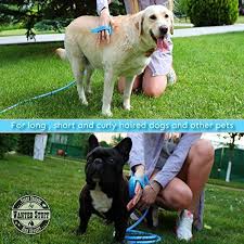 Wantedstuff 3 In 1 Pet Shower Kit With Free Dental Finger Brush Pets Shower Kits Dog Shower