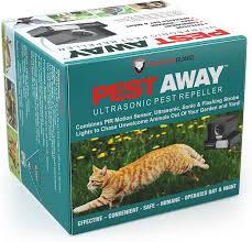 If cats are jumping on a fence in one area, a sensitive bell or can of beans or marbles that will fall when the cats jump can be effective to scare them away. Amazon Com Predatorguard Pestaway Outdoor Animal Cat With Motion Sensor Stops Animals Destroying Your Gardens Yard Patio Lawn Garden