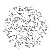 Created with support from the aca. Pdb 101 Learn Coloring Books Discovering Biology Through Crystallography