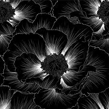 Looking for flowers in virginia beach? Beautiful Monochrome Black And White Stock Vector Colourbox