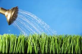 Use a value of 1.0 for lawn. Lawn Irrigation Lovetoknow