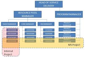 Managed Service Managed Service Organizational Structure