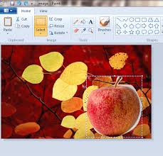 Check spelling or type a new query. How To Make Background Of Images Transparent In Microsoft Paint Tip Dottech