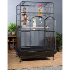 bird cages in 2021 macaw cage large bird cages pet bird cage