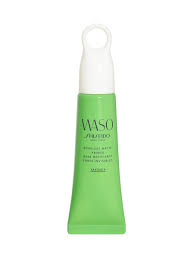 Erborian Bb Family Matte крем для лица матирующий отзывы Matiruyushij Prajmer Sokrashayushij Vidimost Por Waso Shiseido 9731828 V Internet Magazine Wildberries Kz