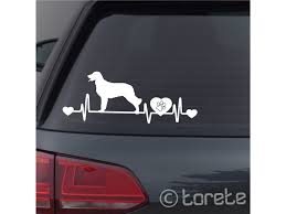 Image result for Velký münsterlandský ohař