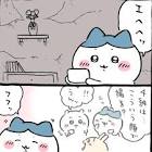ハチワレ (ちいかわ)