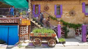 Isparta artık sadece gül yetiştiriciliğinde ünlü değil artık parklar bahçeler bile lavanta çiçeği dolu, elması ve kirazıda meşhurdur ıspartadayız biz bu aralar fırsat bulanlar için uğranması. Lavanta Kokulu Koy Kuyucak Isparta Biz Evde Yokuz