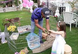 Finalize the adoption process either at a petsmart near you or at your local shelter. Mobile Petting For A Lil Desert Oasis Petting Farm Facebook