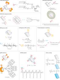 The complete set of all the organism's dna. Nuclease Resistance Of Dna Nanostructures Nature Reviews Chemistry