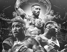 Veja mais ideias sobre boxe para menina, boxe, kickboxing feminino. Boxe Projects Photos Videos Logos Illustrations And Branding On Behance