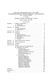 Image result for Thecacoris spathulifolia