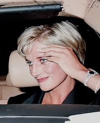 Gorgeous Princess Diana