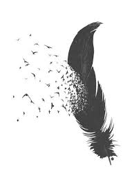 Birds Of A Feather Odyssey Feather Feather Artwork Feather Illustration Bird Feathers
