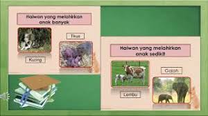 Check spelling or type a new query. Sains Tahun 2 Unit Haiwan Youtube