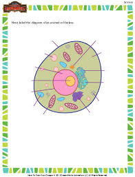 We did not find results for: Plant And Animal Cells Worksheet Download Education World