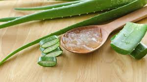 What to Keep in Mind When Shopping for Pure Aloe Vera Gel? | Vogue India | Vogue India