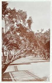 Queens Road, Bombay, Before Marine ...