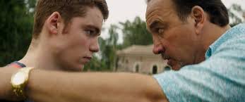 The Whole Truth Ending, Explained