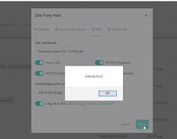 Use the nginx proxy manager as your gateway to forward to your other web based services. Internal Error On Ssl Certificates Issue 180 Jc21 Nginx Proxy Manager Github