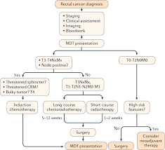 Ironically the doctor thought that my strenuous training for the susan g komen 3 day for the cure was what caused the heavy bleeding. The Multidisciplinary Management Of Rectal Cancer Nature Reviews Gastroenterology Hepatology