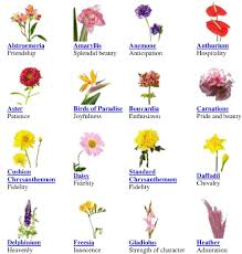 flower symbolism flower chart beautiful bouquet of