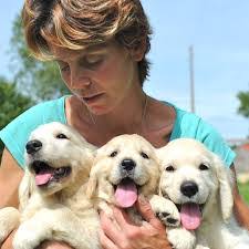 Michelle Postel's Instagram, Twitter & Facebook