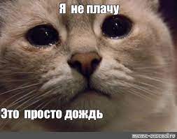 Мем: "Я не плачу Это просто дождь" - Все шаблоны - Meme-arsenal.com