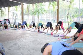 Kirim paket ke belanda, kelebihan dari jalur udara dan jalur laut pengiriman paket ke luar negeri bisa dilakukan melalui dua jalur, yaitu bisa melalui jalur. 108 Sun Salutations What Why And Tips Yoga In Vietnam