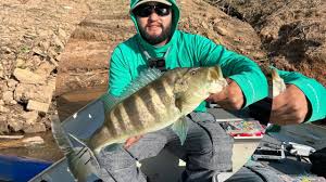 Pescaria com o melhor guia de Igaratá eder araujo