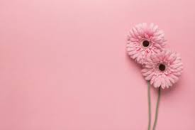 Flores is a leading national administrator of tax advantaged consumer based reimbursement plans such as health and dependent care spending accounts (fsas), health reimbursement arrangements. Fotos De Flores 581 000 Fotos De Stock Gratuitas De Gran Calidad