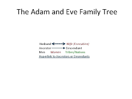 The adam and eve family tree wall chart. The Adam And Eve Family Tree Husband Wife