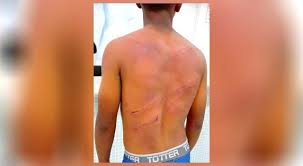 Maybe you would like to learn more about one of these? Blog Do Paulo Jose Jovem E Salvo Pelo Peto