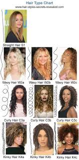 Hair Type Chart Jpg 440 890 Pixels Curly Hair Types Hair Type Curly Hair Styles