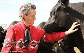 Image result for dip vat