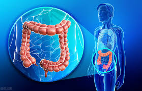 (12% in bailey & love's short practice of surgery,. Can Rectal Cancer Be Mistaken For Hemorrhoids Too Careless Is Almost Fatal Inews