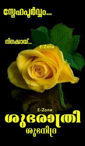 Pin By Eron On Good Night Malayalam In 2021 Good Night Quotes Night Quotes Flowers