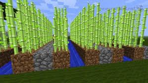 Minecraft How To Make A Simple Sugar Cane Farm Simple Sugar Sugar Cane Minecraft