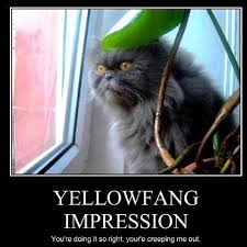 Yellowfang Impression Warrior Cat Memes Warrior Cats Books Warrior Cats