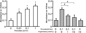Related posts of black and white muscular system diagram. Effects Of Argatroban On Thrombin Induced Events In Cultured Vascular Smooth Muscle Cells Thrombosis Research